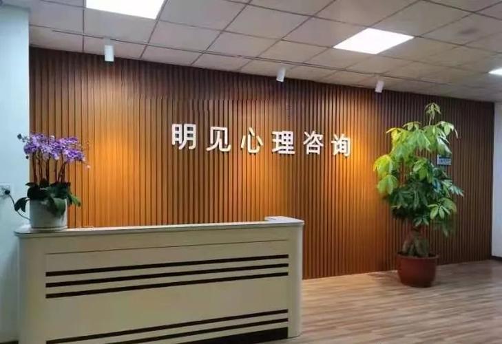 潮州市明見心理科技信息咨詢服務(wù) 以專業(yè)之光，照亮心靈深處